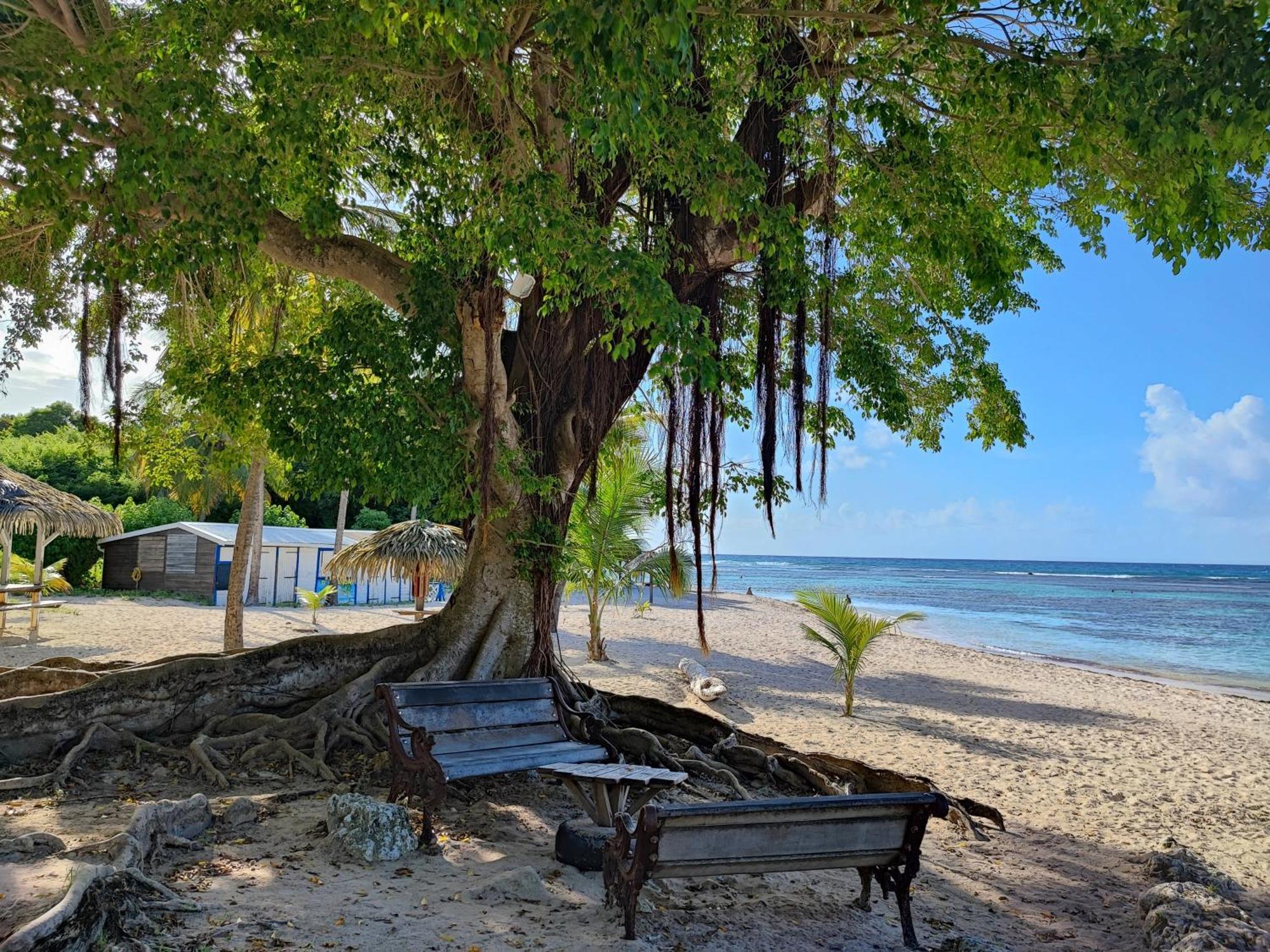 Studio Kawane Anse Des Rochers 303 Rdc, Cote Mer แซงต์-ฟรองซัวส์ ภายนอก รูปภาพ
